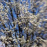 IMG_5008 - Version 2